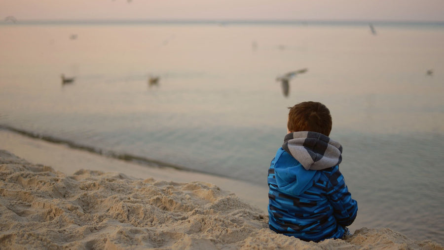 7 Autism-Friendly Hotels and Locations That Make Vacations Stress-Free and Fun!